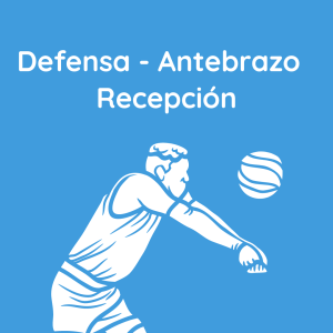 📌 Antebrazo - Defensa