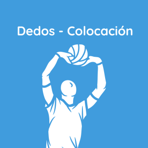 📌 Dedos - Colocación